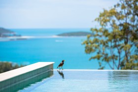 Orchid Villa