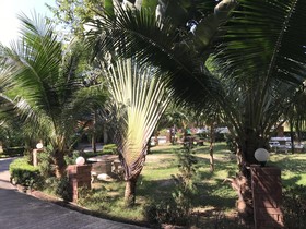 Phayorm Park Resort