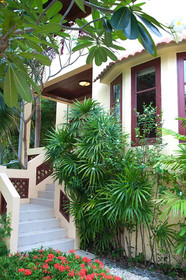 Samui Green Life