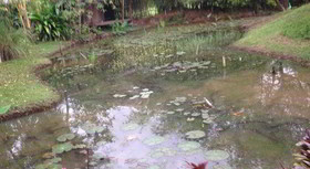 Samui Native Resort & Spa