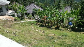 Samui Paradise Village