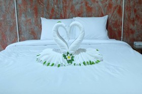 Samui Poshtel