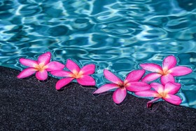 Samui Sense Beach Resort