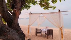 Saree Samui