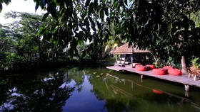 Save House Resort