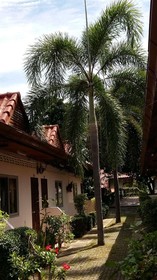 Saver Guesthouse