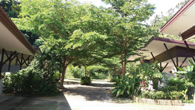 OYO 943 Siva Buri