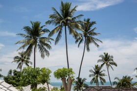 The Beach House