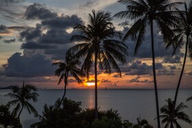 The Beach House
