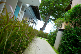 The Hammock Samui Beach Resort