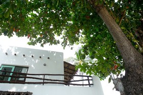 The Hammock Samui Beach Resort