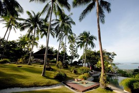 The Jungle Club