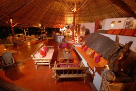 The Jungle Club