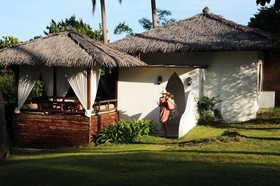 The Jungle Club