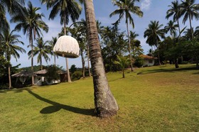 The Jungle Club