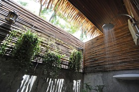 The Jungle Club