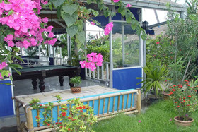 The White Pearl Beach Club