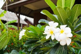 Weekender Bungalow Samui