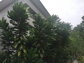 Baan Suan Ta Hotel