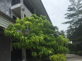 Baan Suan Ta Hotel