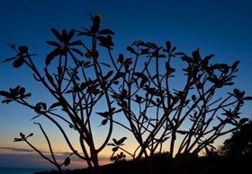 Chintakiri Resort