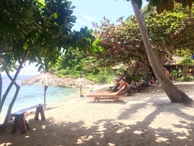 Coral View Resort