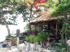 Coral View Resort