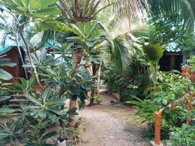 Koh Tao Beachside Resort