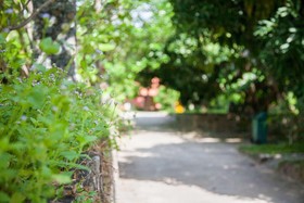 Koh Tao Garden Resort