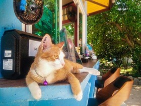 Koh Tao Garden Resort