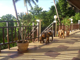 Koh Tao Star Villa