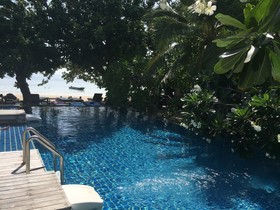 Sairee Hut Resort Koh Tao