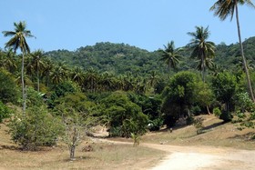 Secret Garden Village