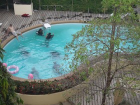 Silver Sands Beach Resort