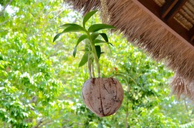 The Fisherman's Villas