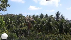Woodlawn Villas Resort