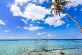 Beyond The Blue Horizon Resort