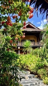 Beyond The Blue Horizon Resort
