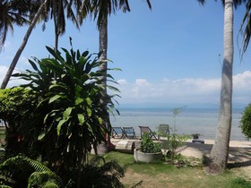 Bird Bungalow
