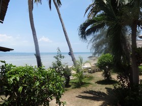 Bird Bungalow