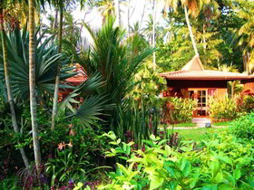 Cyana Beach Resort