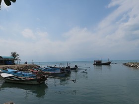 Family House Resort