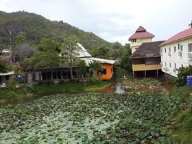 Jaya Hostel & Guesthouse