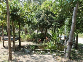 Jungle Bar & Bungalow