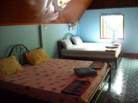 Jungle Bar & Bungalow