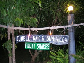 Jungle Bar & Bungalow