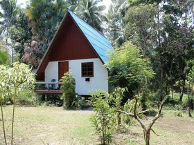 Jungle Bar & Bungalow