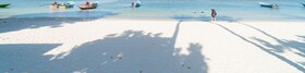 Little Paradise