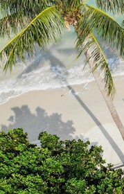 Little Paradise