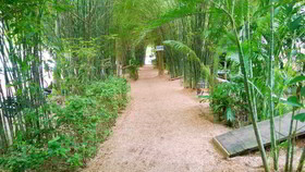 Milky Bay Resort